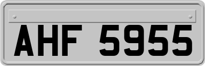 AHF5955