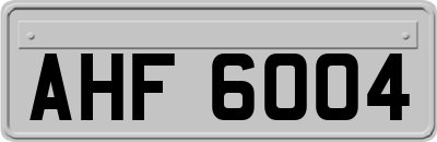 AHF6004