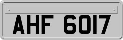 AHF6017