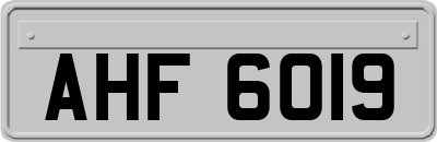 AHF6019