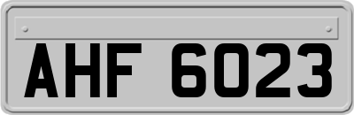 AHF6023