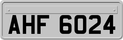 AHF6024
