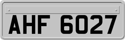 AHF6027