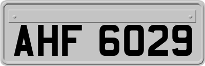 AHF6029