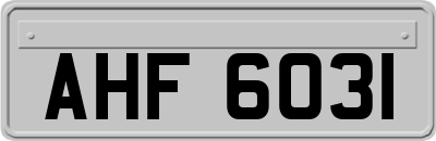 AHF6031