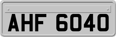 AHF6040