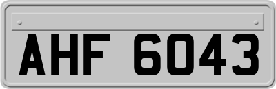 AHF6043