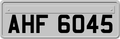 AHF6045