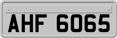 AHF6065