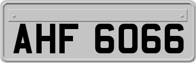 AHF6066