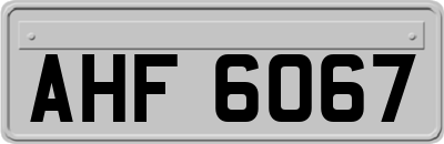 AHF6067
