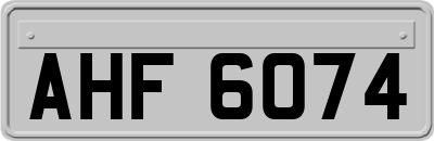AHF6074