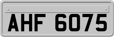 AHF6075