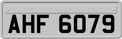 AHF6079