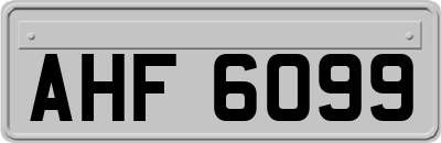 AHF6099