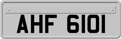 AHF6101