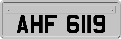 AHF6119
