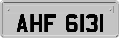 AHF6131