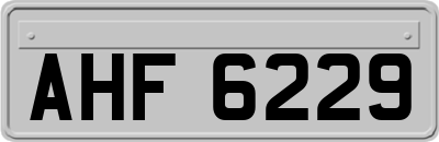 AHF6229
