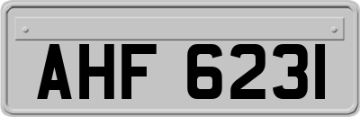 AHF6231