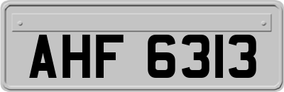AHF6313