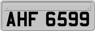 AHF6599