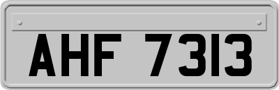 AHF7313
