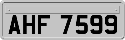 AHF7599