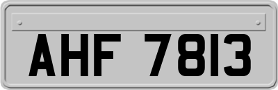 AHF7813