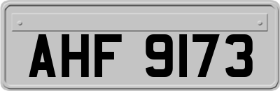 AHF9173