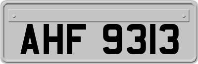 AHF9313