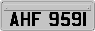 AHF9591