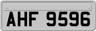 AHF9596
