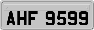 AHF9599