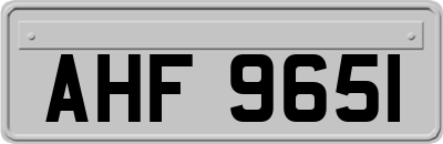 AHF9651