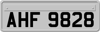 AHF9828