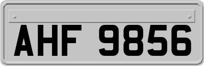 AHF9856