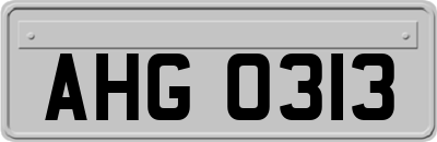 AHG0313