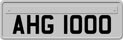 AHG1000
