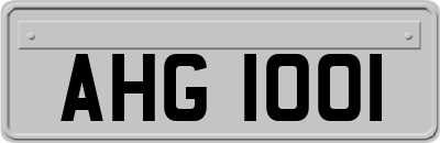 AHG1001
