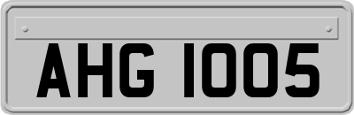 AHG1005
