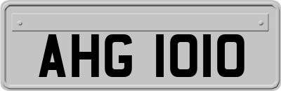 AHG1010