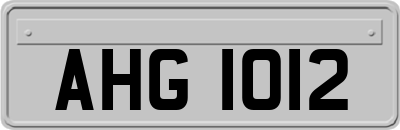 AHG1012