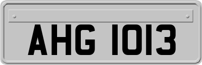 AHG1013