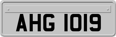 AHG1019