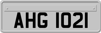 AHG1021