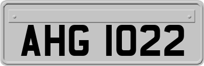 AHG1022