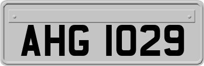 AHG1029