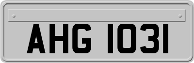 AHG1031