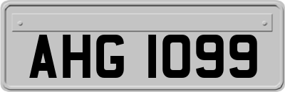 AHG1099